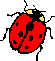 Ladybug1.gif (1825 bytes)