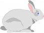 rabbit.wmf (7190 bytes)