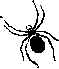 spider.gif (1597 bytes)